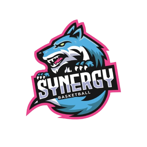 Synergy Basketball
